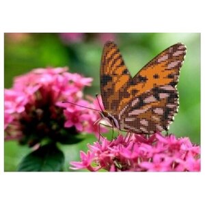 Бабочка на цветке Рисунок на ткани 25х18 Каролинка ткбц 4002