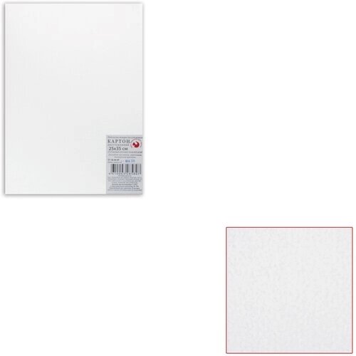 Белый картон грунтованный для живописи, 25х35 см, толщина 2 мм, акриловый грунт, двусторонний, (10 шт.) от компании М.Видео - фото 1
