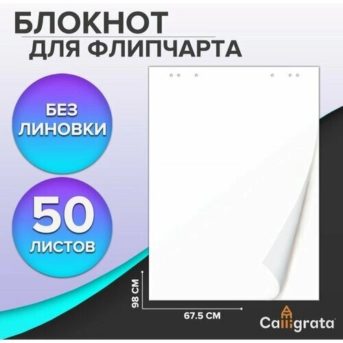 Блокнот для флипчарта, 67,5 х 98 см, 50 листов белый, 92%, 80 г/м2, Calligrata от компании М.Видео - фото 1