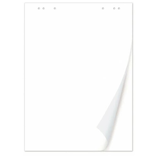 Блокнот для флипчарта BRAUBERG, 20 листов, чистые, 67,5х98 см, 80 г/м2, 128646 от компании М.Видео - фото 1