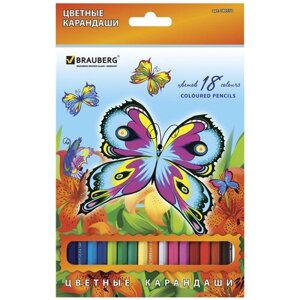 BRAUBERG Карандаши цветные brauberg wonderful butterfly , 18 цветов, заточенные, картонная упаковка с блестками, 180550, 4 шт.