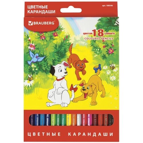 BRAUBERG Карандаши цветные My lovely dogs 18 цветов (180546) от компании М.Видео - фото 1