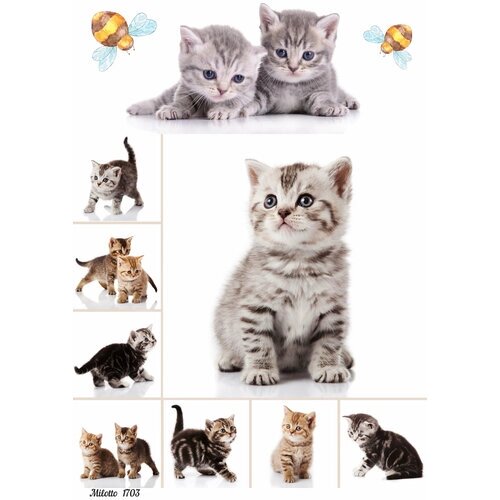 Бумага для декупажа А4 рисовая салфетка 1703 кошка котенок винтаж крафт DIY Milotto от компании М.Видео - фото 1