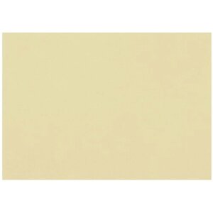 Бумага для пастели (1 лист) FABRIANO Tiziano А2+500х650 мм), 160 г/м2, песочный, 52551006, 10 шт.