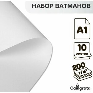 Calligrata Набор ватманов чертёжных А1, 200 г/м²10 листов