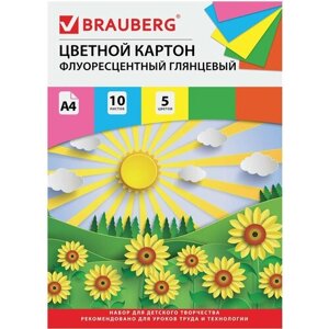 Цветной картон Brauberg А4 мелованный, флуоресцентный, 10 листов 5 цветов, в папке, 200х290 мм, "Лето"129918)