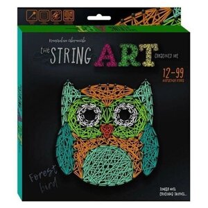 Danko Toys Набор для творчества String Art Сова (STRA-01-02) мультиколор