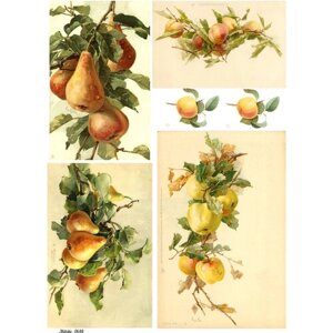 Декупажная рисовая карта А4 салфетка 0648 фрукты персики яблоки груши винтаж крафт DIY Milotto