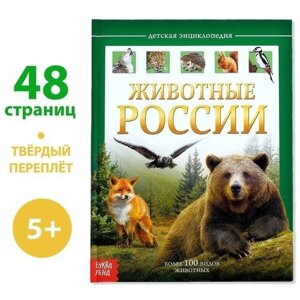 Детская энциклопедия в твёрдом переплёте «Животные России», 48 стр.