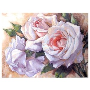 Dimensions Набор для вышивания крестиком White Roses (Белые Розы) 41 х 28 см (35247)