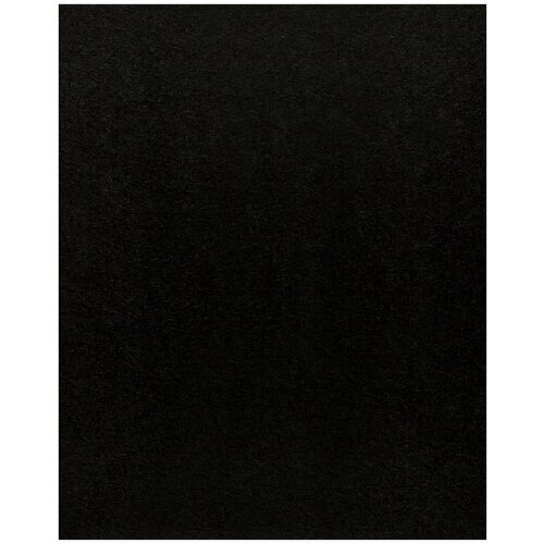 Фетр Rayher моделируемый, размер листа 30 х 45 см (формат А3), толщина 1 мм, цвет: черный