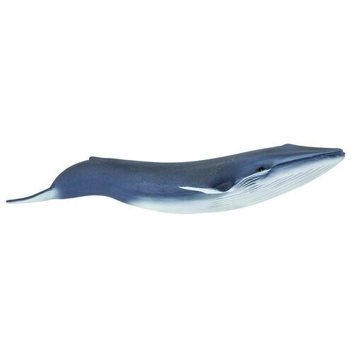 Фигурка Safari Ltd Синий кит 223229, 4.5 см