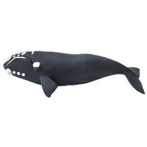 Фигурка Safari Ltd Южный гладкий кит 204229, 23.5 см