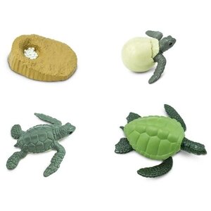 Фигурки Safari Ltd Жизненный цикл зеленой морской черепахи 662316, 4 шт.