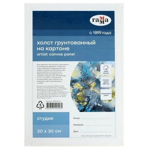 Гамма Холст на картоне 20 х 30 см, хлопок 100%, акриловый грунт, мелкозернистый, 280 г/м² "Гамма" "Студия" от компании М.Видео - фото 1