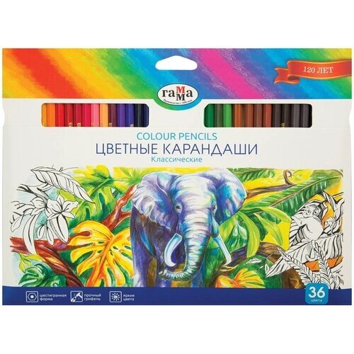 ГАММА карандаши цветные Классические, 36 цветов, 050918_05 разноцветный от компании М.Видео - фото 1