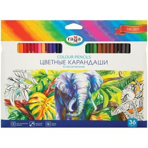 ГАММА карандаши цветные Классические, 36 цветов, 050918_05 разноцветный