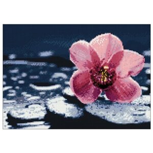 Гранни Набор алмазной вышивки Орхидея Ванда (ag5848) 38x27 см
