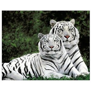 Гранни Набор алмазной вышивки Влюбленные тигры (Ag408) 48х38 см