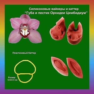 Губа и пестик Орхидеи Цимбидиум , силиконовые вайнеры + пластиковый каттер губы