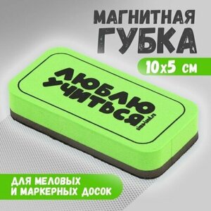 Губка для меловых и маркерных досок «Люблю учиться», 10 х 5 см (комплект из 17 шт)