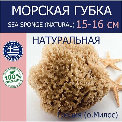 Губка морская натуральная Milos, HONEYCOMB, 15-16 см Греция (о. Милос) от компании М.Видео - фото 1