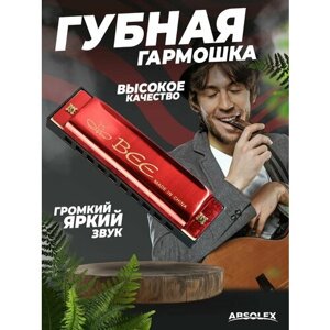 Губная гармошка детская гормошка