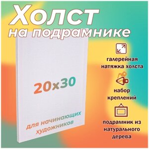 Холст для творчества и рисования на подрамнике из натурального дерева 20х30 см, Им-Хл-002