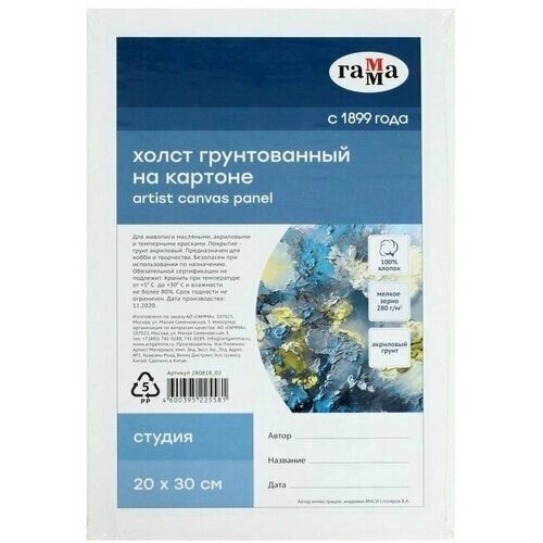 Холст на картоне 20 х 30 см, хлопок 100%, акриловый грунт, мелкозернистый, 280 г/м2 "Гамма" "Студия" от компании М.Видео - фото 1