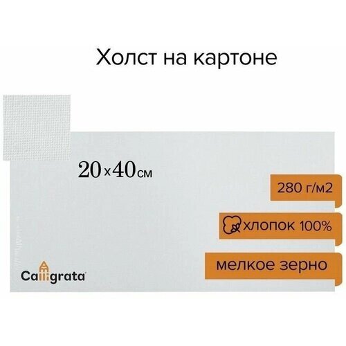 Холст на картоне Calligrata, хлопок 100%, 20 х 40 см, 3 мм, акриловый грунт, мелкое зерно, 280 г/м2 от компании М.Видео - фото 1