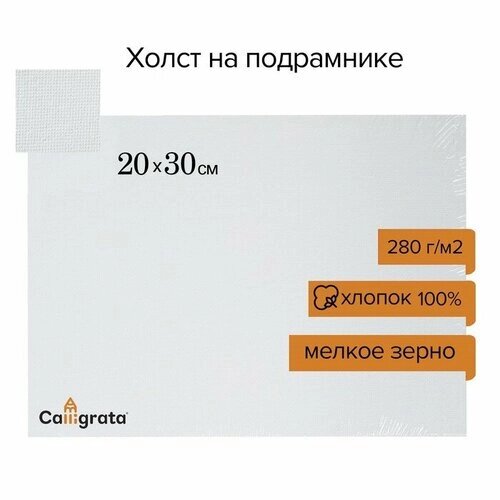 Холст на картоне хлопок 100% 20*30 см 3 мм акрил грунт м/з, 280 г/м2 Calligrata К от компании М.Видео - фото 1