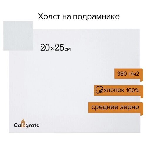 Холст на подрамнике хлопок 100% акрил грунт 2*20*25 см, 380г/м² с/з Calligrata 9098182 от компании М.Видео - фото 1