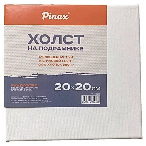 Холст Pinax на подрамнике 20х20 см (20.2020) 20 см 20 см от компании М.Видео - фото 1