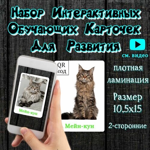 Интерактивные развивающие карточки " Кошки " от компании М.Видео - фото 1