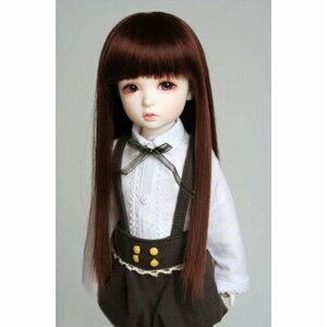 Iplehouse Wig IHW_SS006 (Длинный парик с прямыми волосами и челкой коричневый размер 15-18 см для кукол Иплхаус)