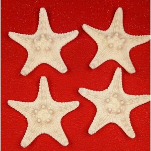 Кабошоны для рукоделия, декоративный элемент, украшение декоративное " Морская звезда"