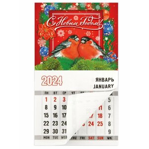 Календарь 2024 "Снегири / красный"