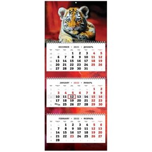 Календарь квартальный трехпружинный на 2022 год - Символ года - Год тигра - Ласковый и нежный зверь