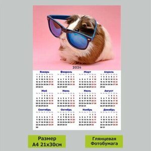 Календарь Морская свинка а4 2024