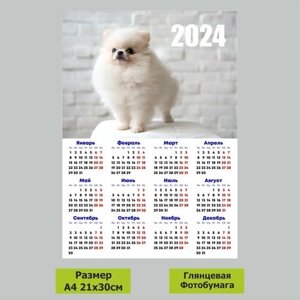 Календарь Шпиц а4 2024