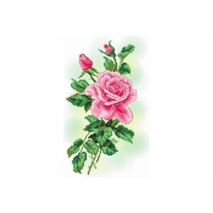 Канва с рисунком для вышивания крестом искусница Нежная роза, 20*30см