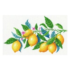 Канва с рисунком для вышивания крестом М. П. Студия "Лимонная гармония", 30х40 см, арт. СК-098