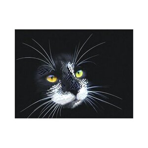 Канва с рисунком Матренин посад для вышивания бисером, 28х34 см, "Черный кот"