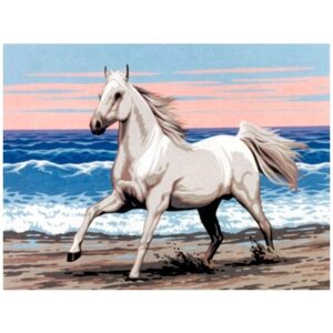 Канва жесткая с рисунком Белая лошадь на морском берегу 40 x 50 cм * GOBELIN L. DIAMANT E. 302