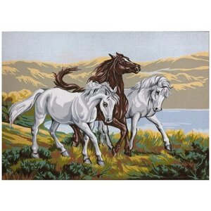 Канва жесткая, с рисунком три коня, из хлопка, 60х80см, 1 шт