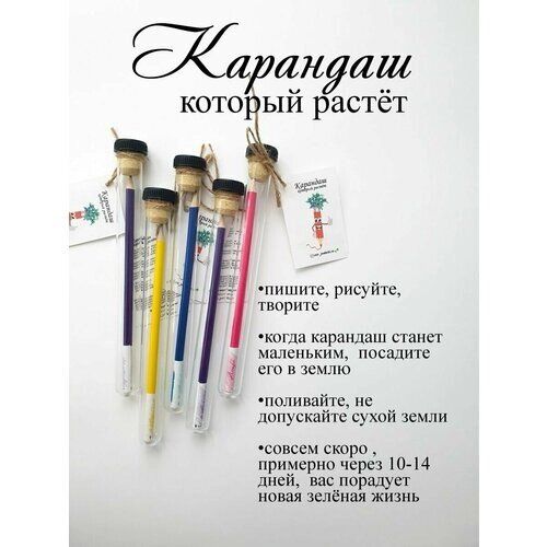 Карандаш простой, растущие карандаши , подарок на новый год от компании М.Видео - фото 1