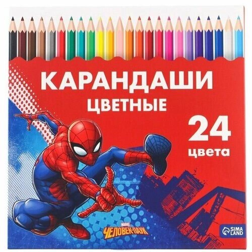 Карандаши 24 цвета "Супергерой", заточенные, шестигранные, картонная упаковка, европодвес, Человек-паук от компании М.Видео - фото 1