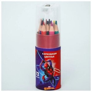 Карандаши цветные с точилкой в тубусе мини, 12 цветов, Супергерой, Человек-Паук