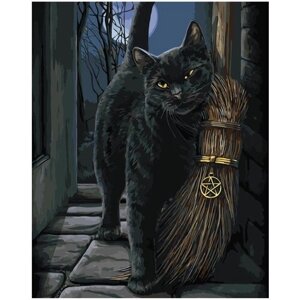 Картина по номерам 000 Art Hobby Home Черный кот 40х50