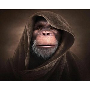 Картина по номерам 000 Art Hobby Home Шимпанзе в мантии